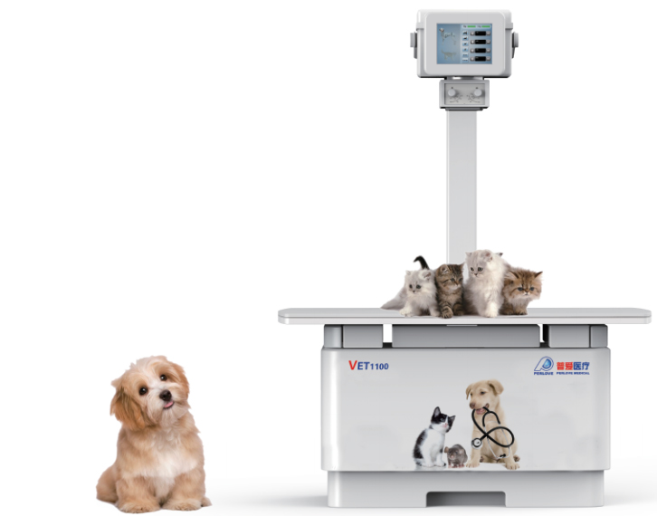 如何選擇寵物DR機？先了解這4點參數